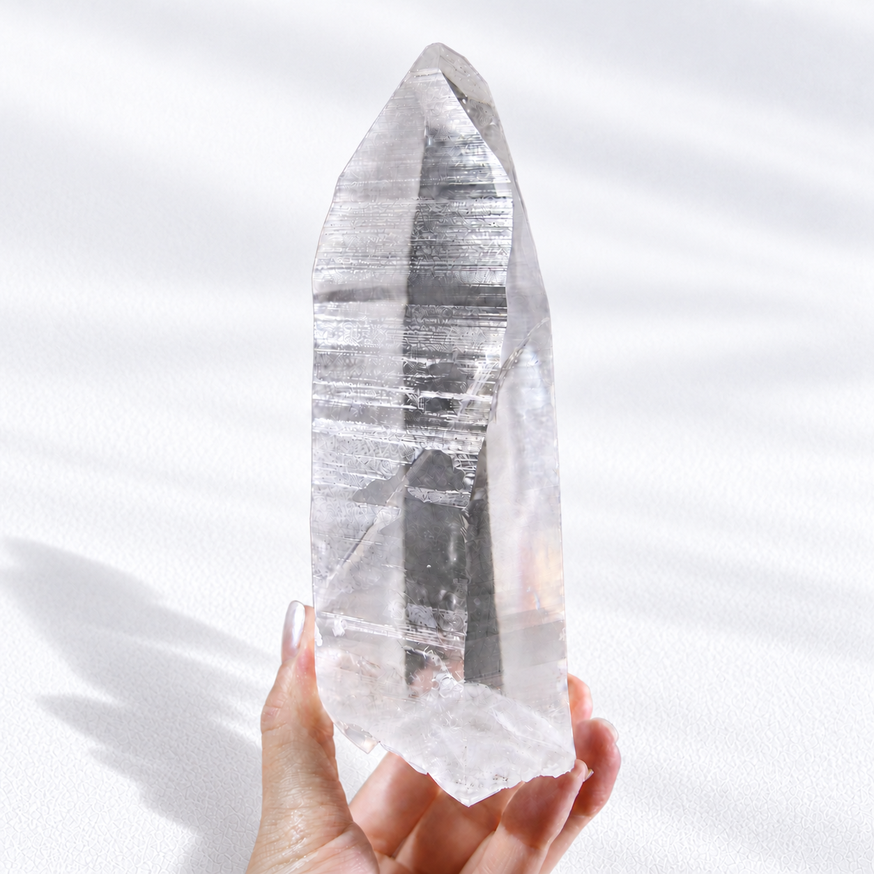 Lemurian Seed