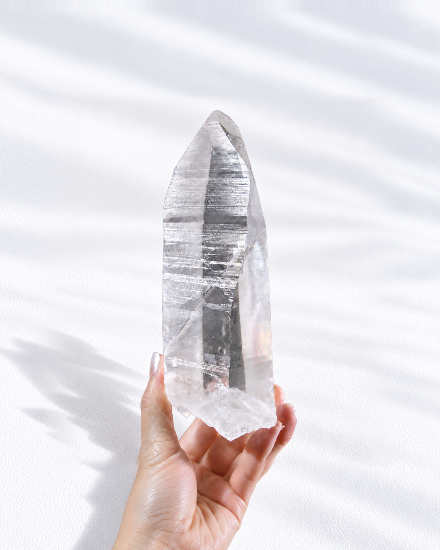Lemurian Seed