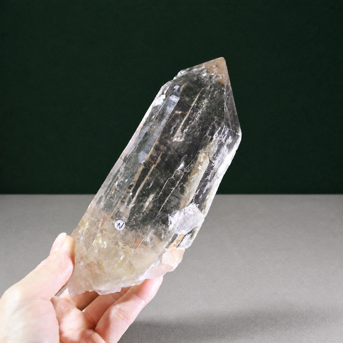 Unpolished Lemurian Seed with Exceptional Natural Luster