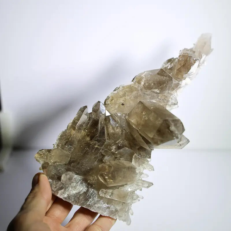 Diamantina Smoky Quartz Cluster #5 — Brazilian quartz crystal
