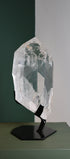 Close view of the internal phantom formation visible through the quartz