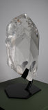Detail showing the transparency and internal structure of the polished crystal