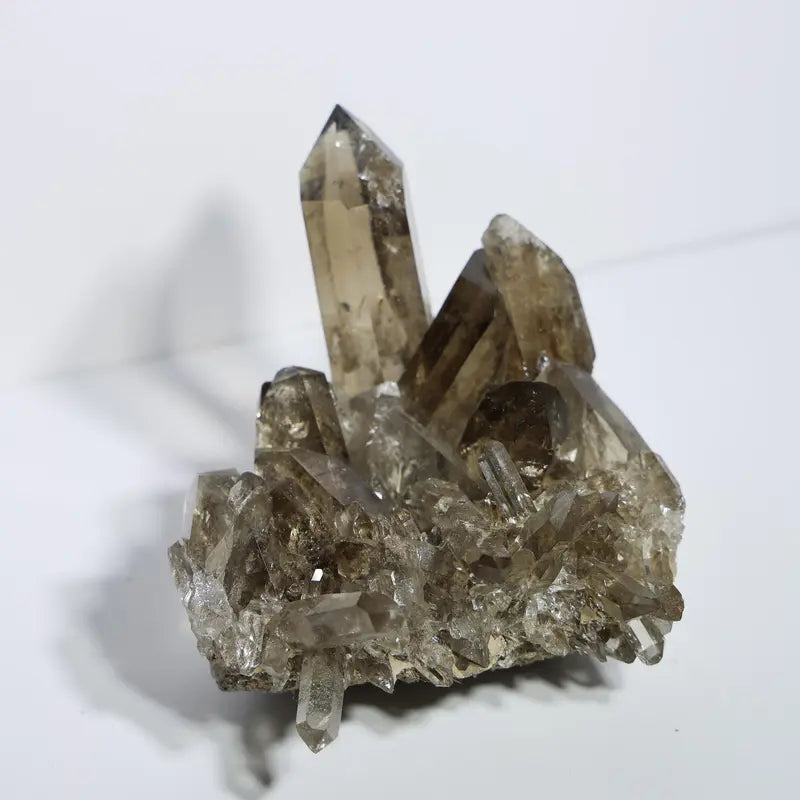Diamantina Smoky Quartz Cluster #2