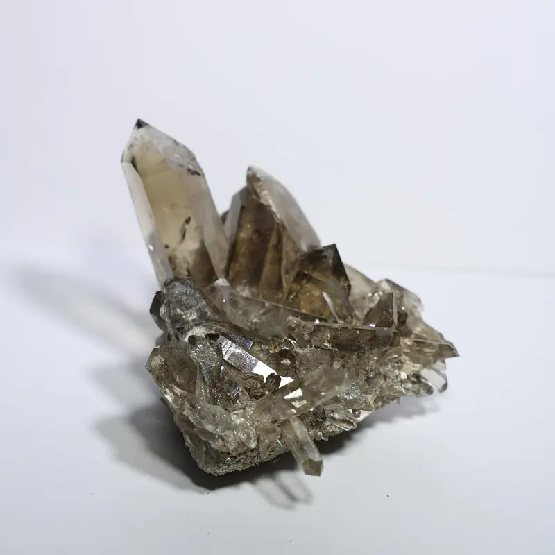 Diamantina Smoky Quartz Cluster #2