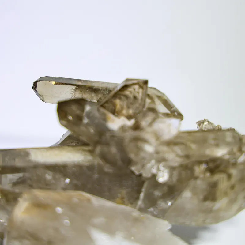 Diamantina Smoky Quartz Cluster #7