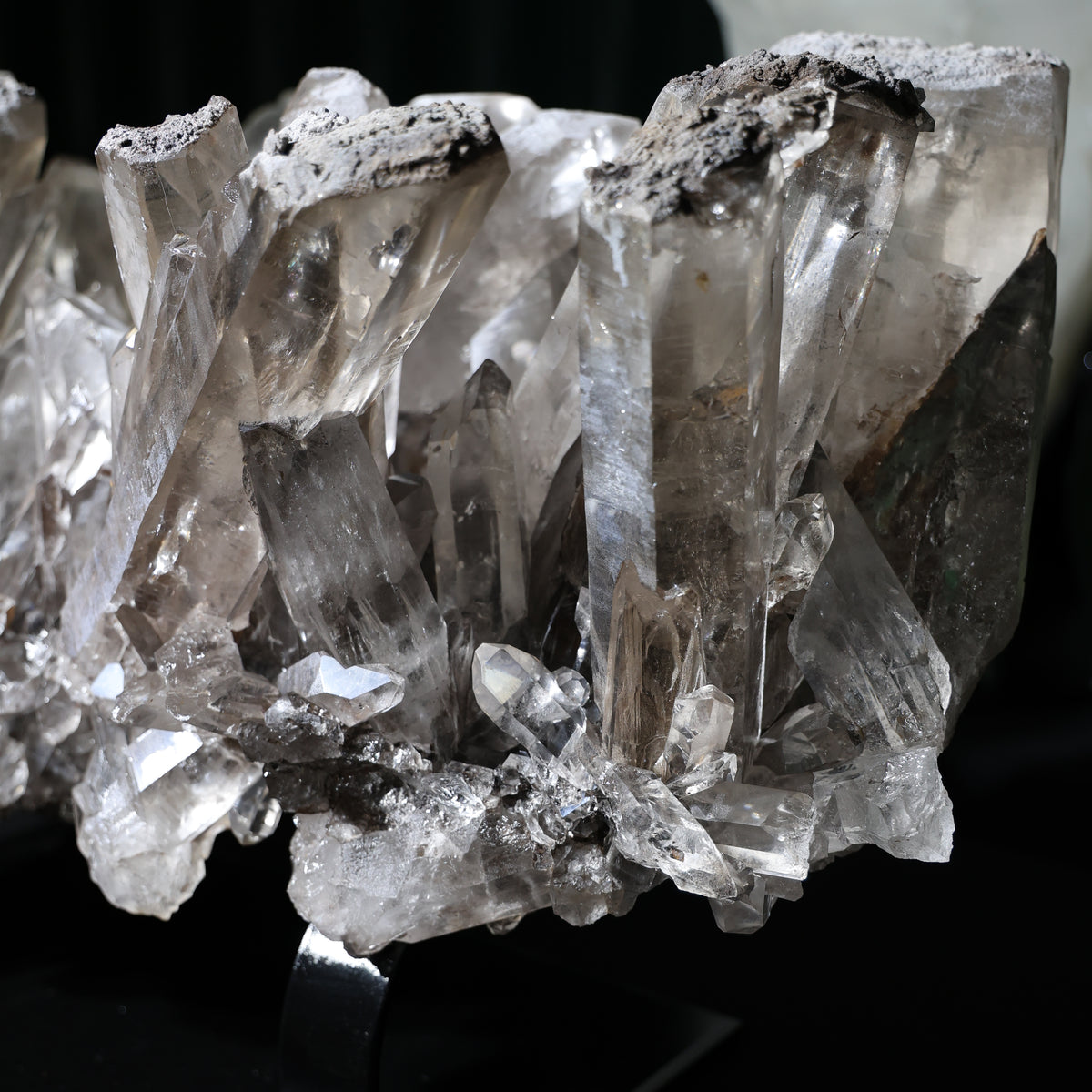 Bottom view showing the extensively crystallized underside