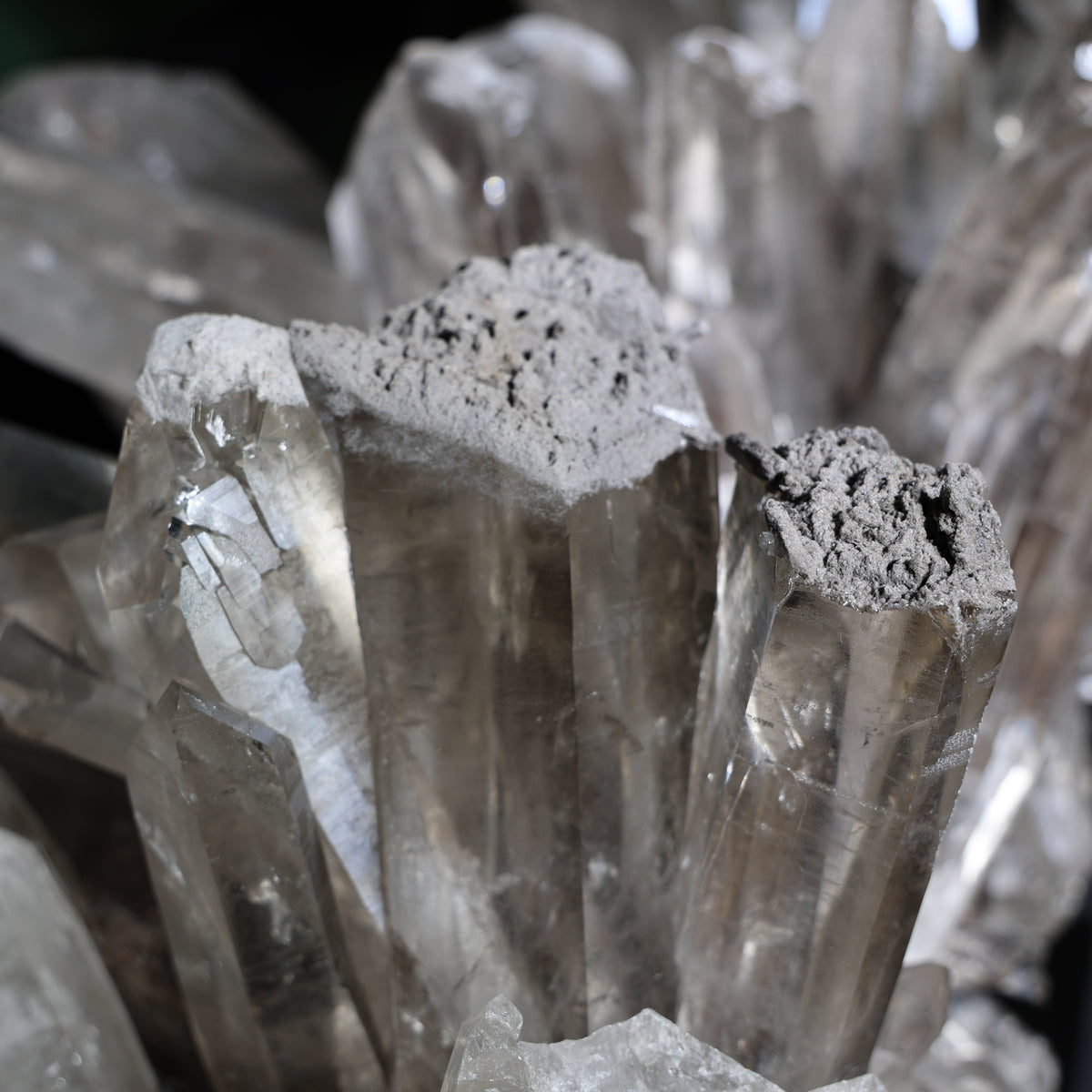 Close view of the natural gray mineral deposit on the upper growth