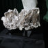 Close view of the exceptional transparency across the smoky quartz points