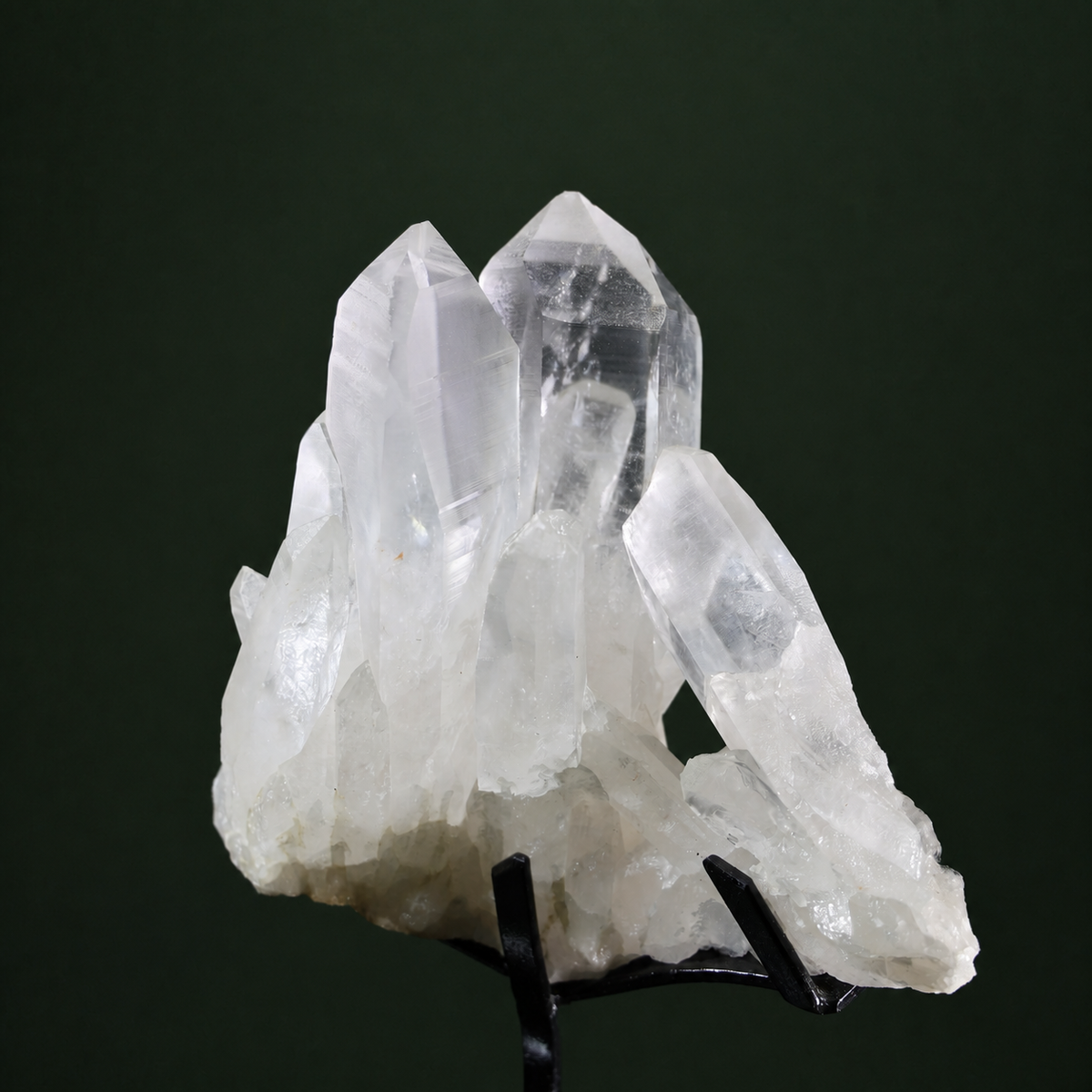 Slender Harmonious Lemurian Quartz Cluster