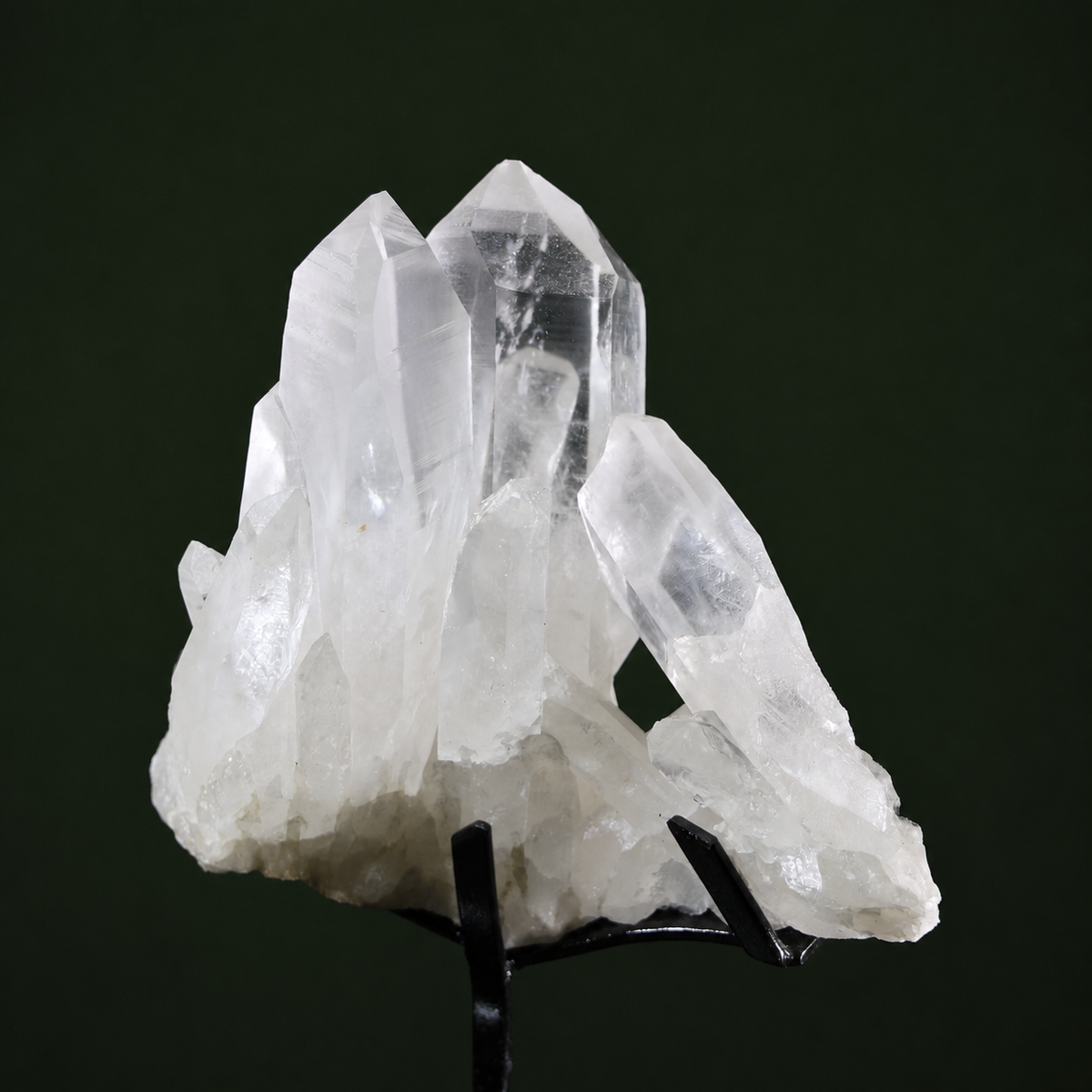 Slender Harmonious Lemurian Quartz Cluster