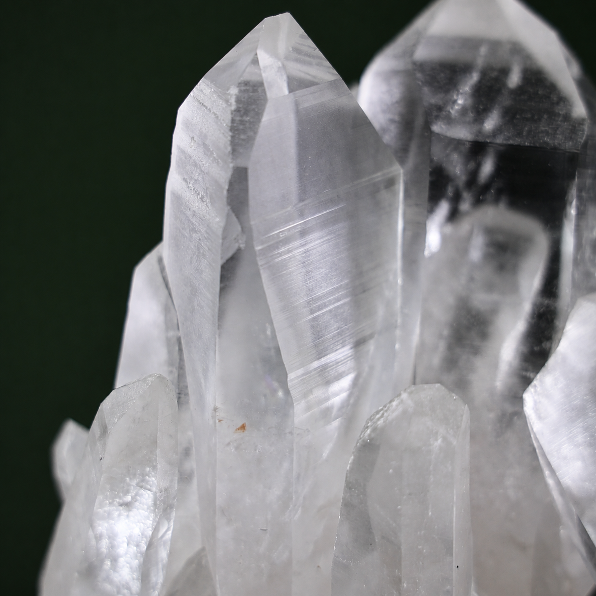 Slender Harmonious Lemurian Quartz Cluster