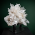 Flower-shaped Lemurian quartz cluster displayed on a black metal base