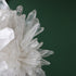 Close view of clear and milky Lemurian quartz points