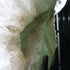 Detail of layered quartz points and terminations