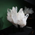 Detail showing clarity within the large natural quartz terminations