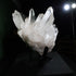 Hand shown beside the crystal points as a visual reference for scale