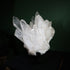 Close view of the unusually broad and clean quartz points