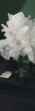 Video view of the flower-shaped Lemurian quartz cluster on its display base